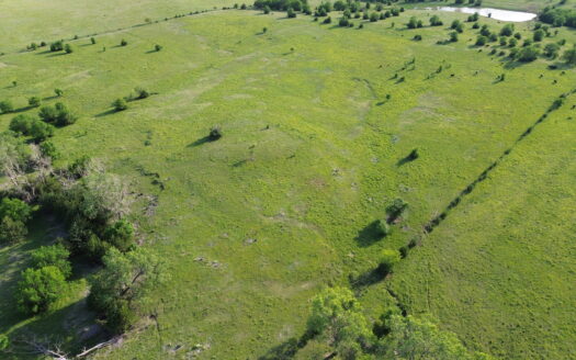 318 +/- Acres Cloud Co. KS Pastureland Auction