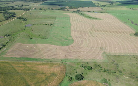 595 +/- Acres Washington Co. KS Land Auction